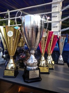 Статус Групп - спонсор Открытого чемпионата по Кикбоксингу среди юниоров