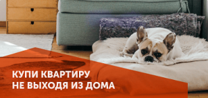 Дистанционный сервис по продаже недвижимости