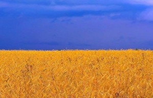 С Днем защитника Украины
